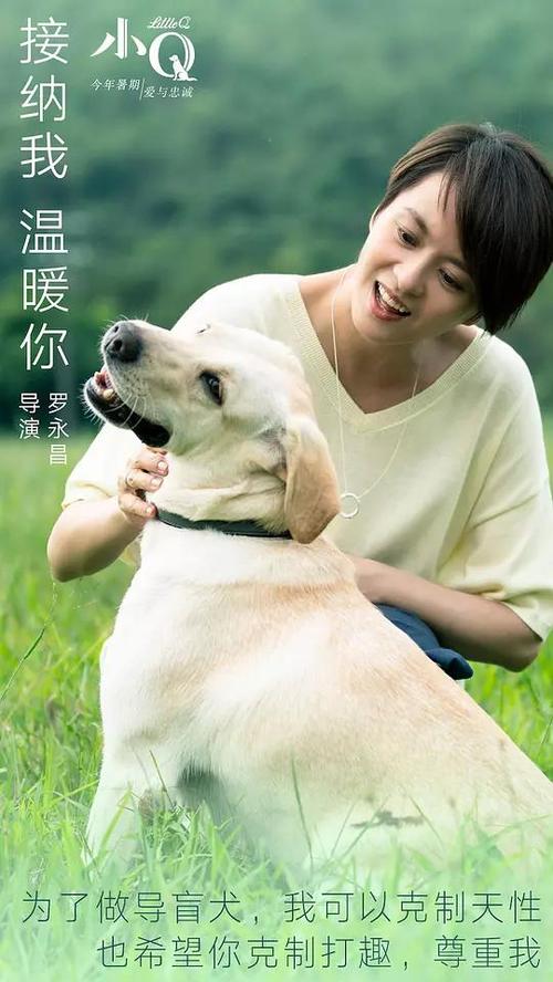 定制不列颠哥伦比亚省ID